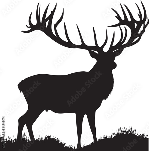 Whitetail Deer vector silhouette