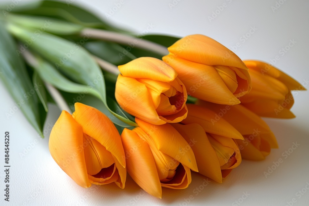 Elegant bouquet of orange tulips Elegant bouquet of orange tulips