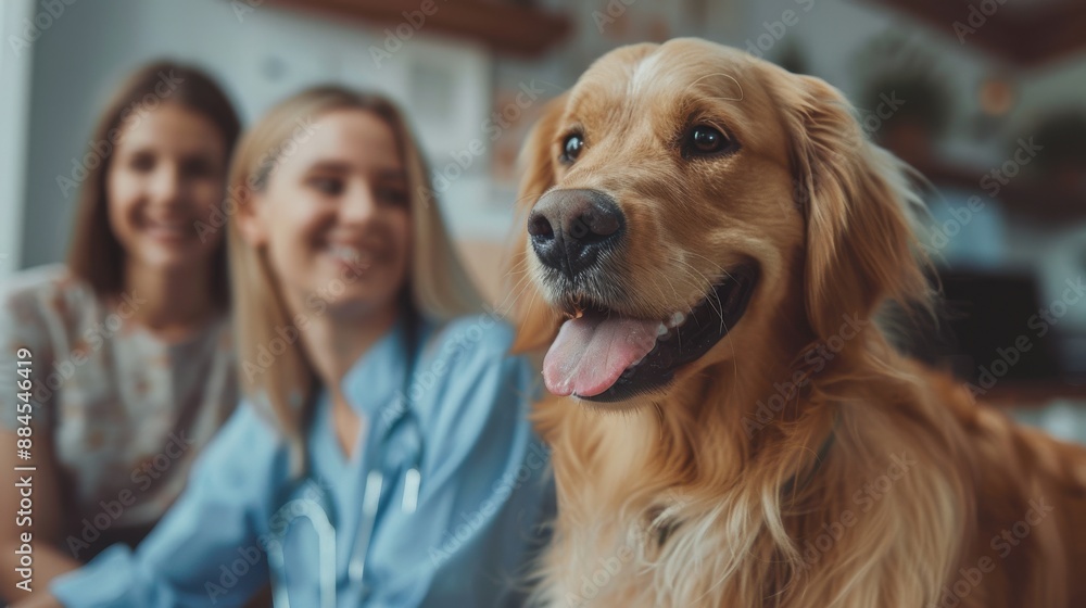 Close-up of a veterinarian examining a happy dog with two veterinarians smiling in the background. Close-up of a veterinarian examining a happy dog with two veterinarians smiling in the background.