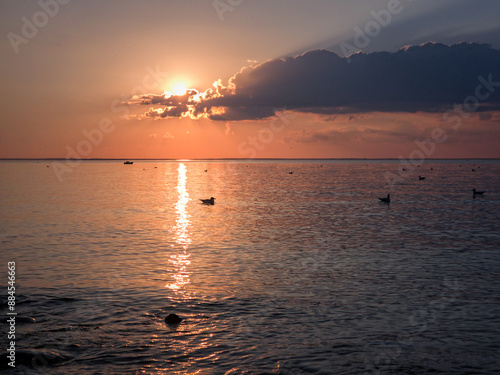 A beautiful summer sunset with the sun setting in a pink and orange haze on the horizon under a dark band of clouds over the waters of Lake Simcoe with seagulls floating on the water in the foreground photo