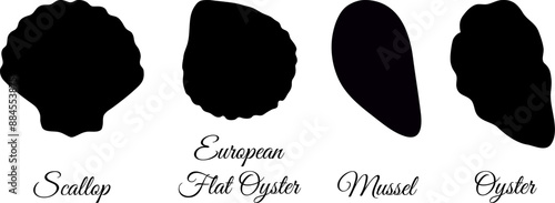 Shellfishes silhouette set.