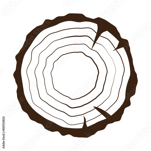 Sectional view of a tree trunk. Carved tree symbol. Flat illustration of cut tree. Vector illustration isolated on white.