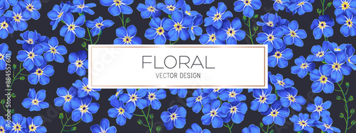 Horizontal long floral background with blue forget-me-not flowers. Realistic highly detailed vector plants in blue color on a dark background. Place for your text in a fragile frame.
