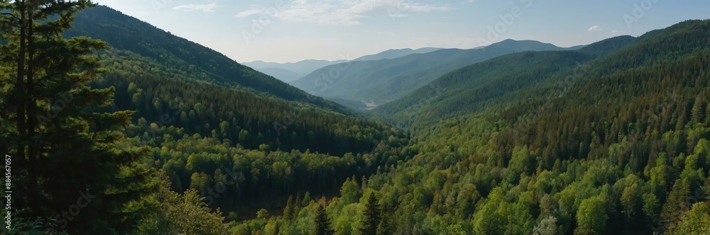 Fototapeta premium detailed panoramic view of a forest range background