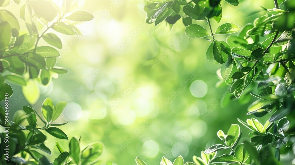 Green natural backdrop with white space for text ideal as wallpaper Green natural backdrop with white space for text ideal as wallpaper