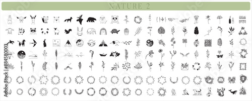 150 Handdrawn nature elements, Doodle illustrations, Animals, Botanical, Floral, Drawing, Illustration, Set, Collection