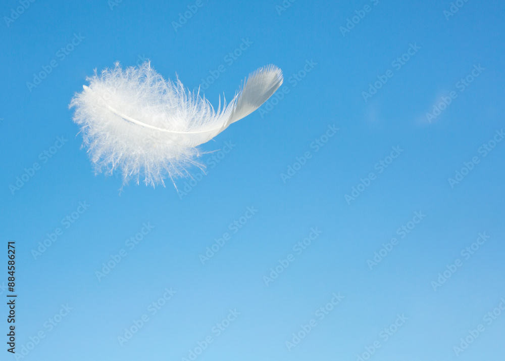 A white feather flies against the blue sky A white feather flies against the blue sky