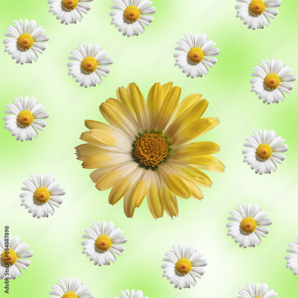 Fototapeta premium Chamomile seamless floral pattern. Pattern, a group of chamomile flowers on a green background