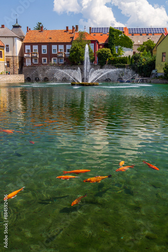 A town of Tapolca in Balaton region of Hungary with lake in the middle of the city and fountain, carps in the lake photo