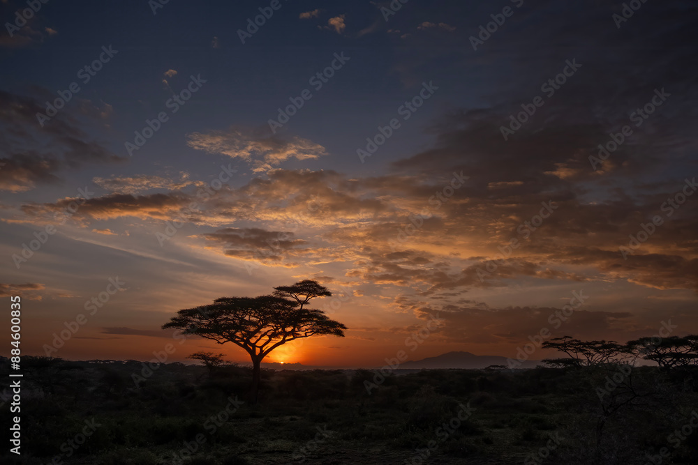 Fototapeta premium Ndutu Sunrise