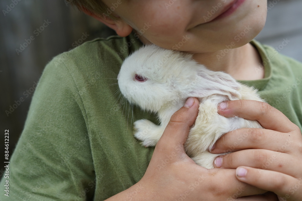 Hare in a cage, hare children, baby rabbits, wild hares, small baby rabbits, rabbit in captivity, rabbit skin, animal abuse, animal experiments, animal protectionists, domestic wildlife, rabbit slaugh Hare in a cage, hare children, baby rabbits, wild hares, small baby rabbits, rabbit in captivity, rabbit skin, animal abuse, animal experiments, animal protectionists, domestic wildlife, rabbit slaugh