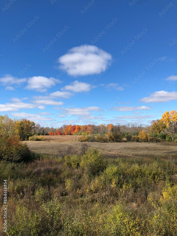 fall landscape fall landscape