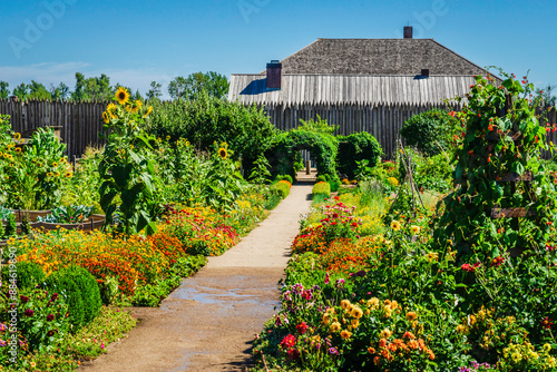 Botanical garden with a variety of flowers and plants, a footpath down the center, wooden back fence and blue sky. photo