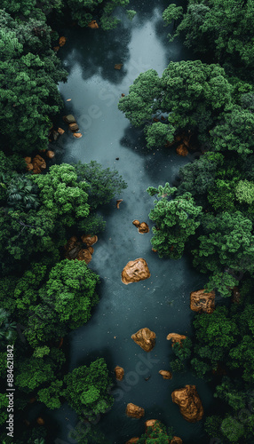 Rio com pedras e cachoeira no meio da Floresta densa arborizada com bambús na chuva densa e nevoeiro natureza paisagem Imagem aérea drone IA Generativa photo