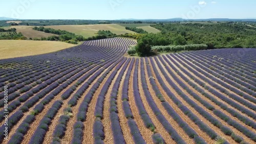 La Valensole is located in the south of France, in the region known as Provence, of which it is practically a symbol. More precisely, the territory covered by this valley stretches between Lake Sainte photo