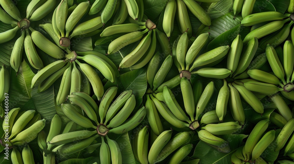 Seamless pattern background of fresh green banana fruit Seamless pattern background of fresh green banana fruit