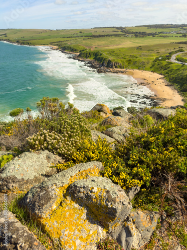 View From The Bluff or Rosetta Head Victor Harbor photo