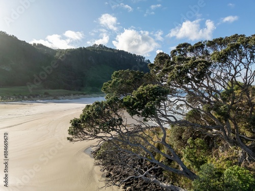 Pohutukawa tree on Rocky island on the shoreline beach of Opoutere, Whangamata, Coromandel Peninsula, New Zealand. photo