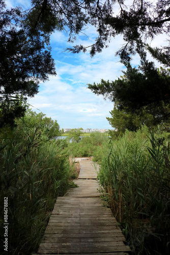 Path to the bay