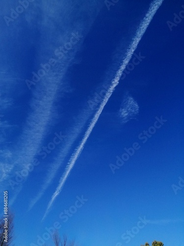 印象的な空　飛行機雲と青空と冬の樹木