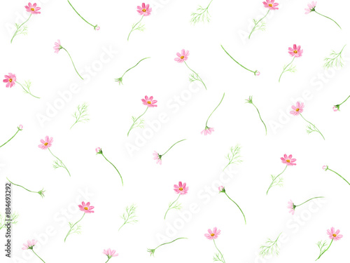 水彩で描いたコスモスの花柄