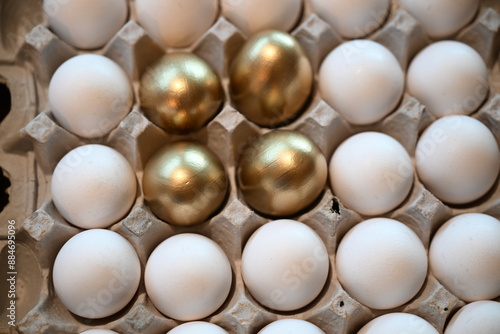 golden eggs from the golden goose of business ideas