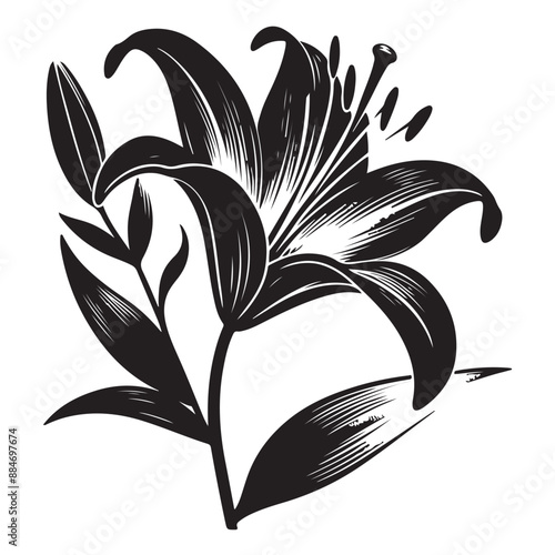 Black silhouette of a simple minimal Lily stylish elegant with thick outline side view isolated