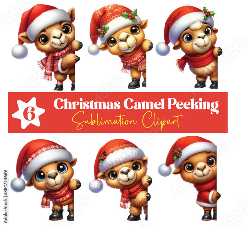 Christmas Camel Peeking Around Corner