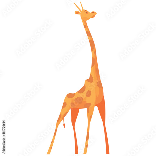 giraffe isolated on white