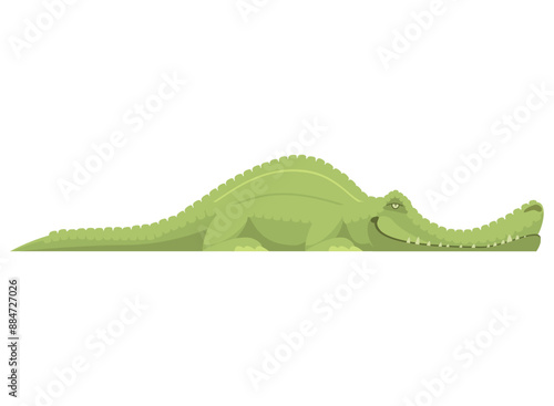 crocodile in a background