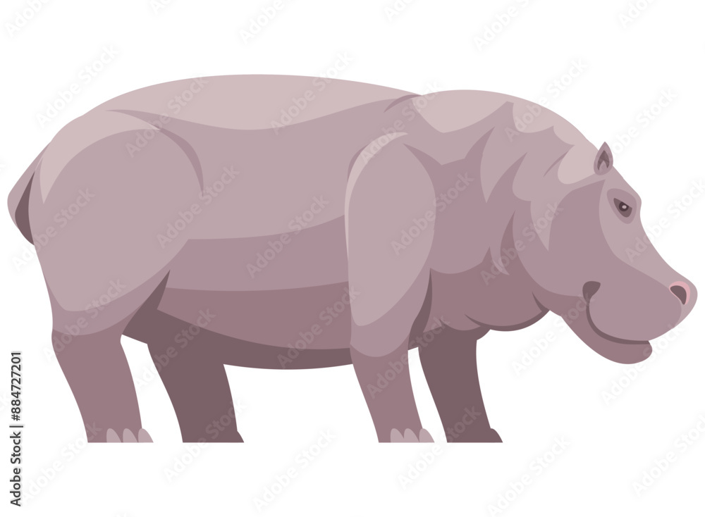 Fototapeta premium hippo illustration