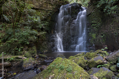 Waterfall in a forest setting, Pelorus Bridge, Marlborough, New Zealand. photo