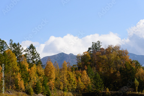 富良野の紅葉風景