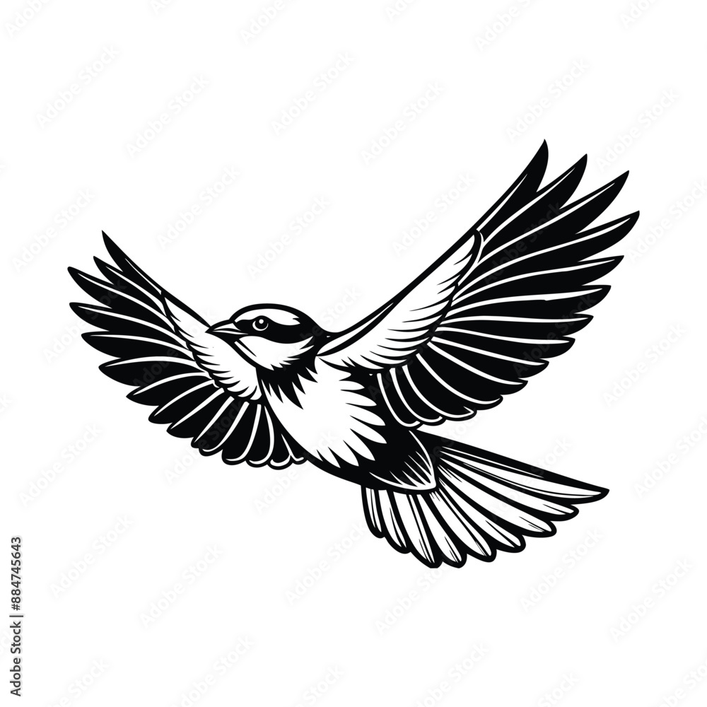 flying bird silhouette hand drawn illustration flying bird silhouette hand drawn illustration
