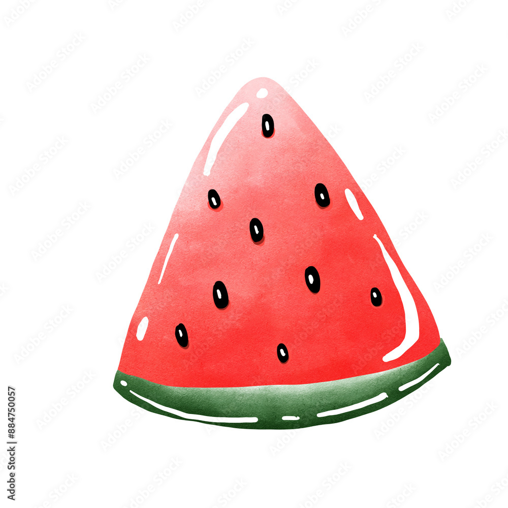watermelon vector illustration watermelon vector illustration