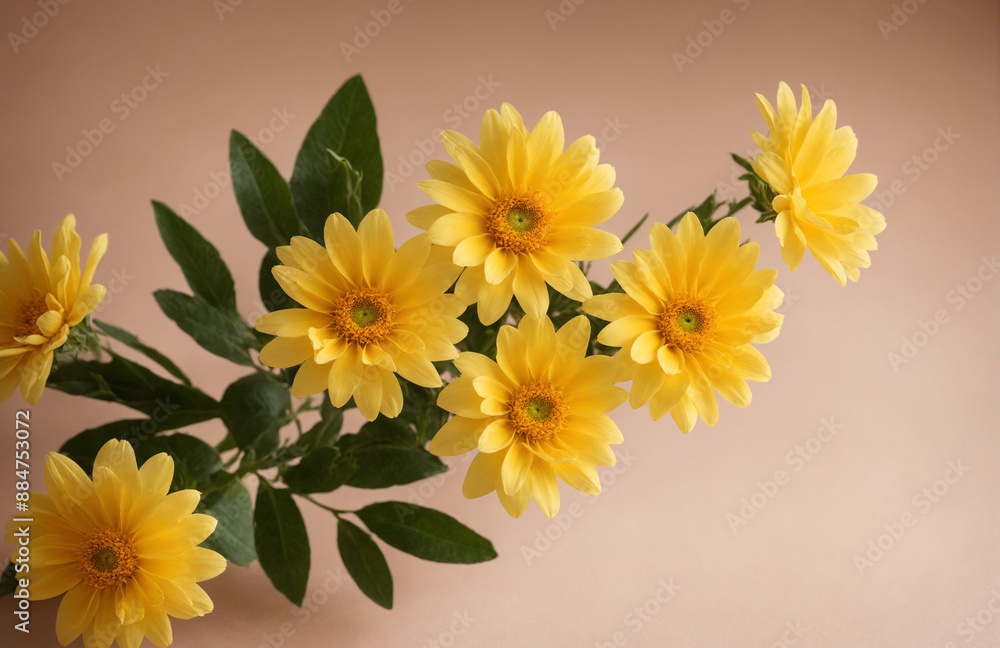 beautiful flowers in front of pastel yellow background sunny lighting beautiful flowers in front of pastel yellow background sunny lighting