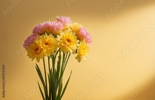 beautiful flowers in front of pastel yellow background sunny lighting photo