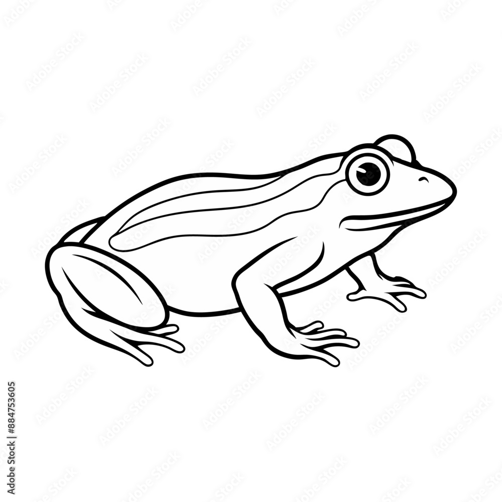 Frog line art vector Frog line art vector
