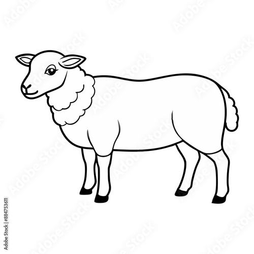 sheep line art vector