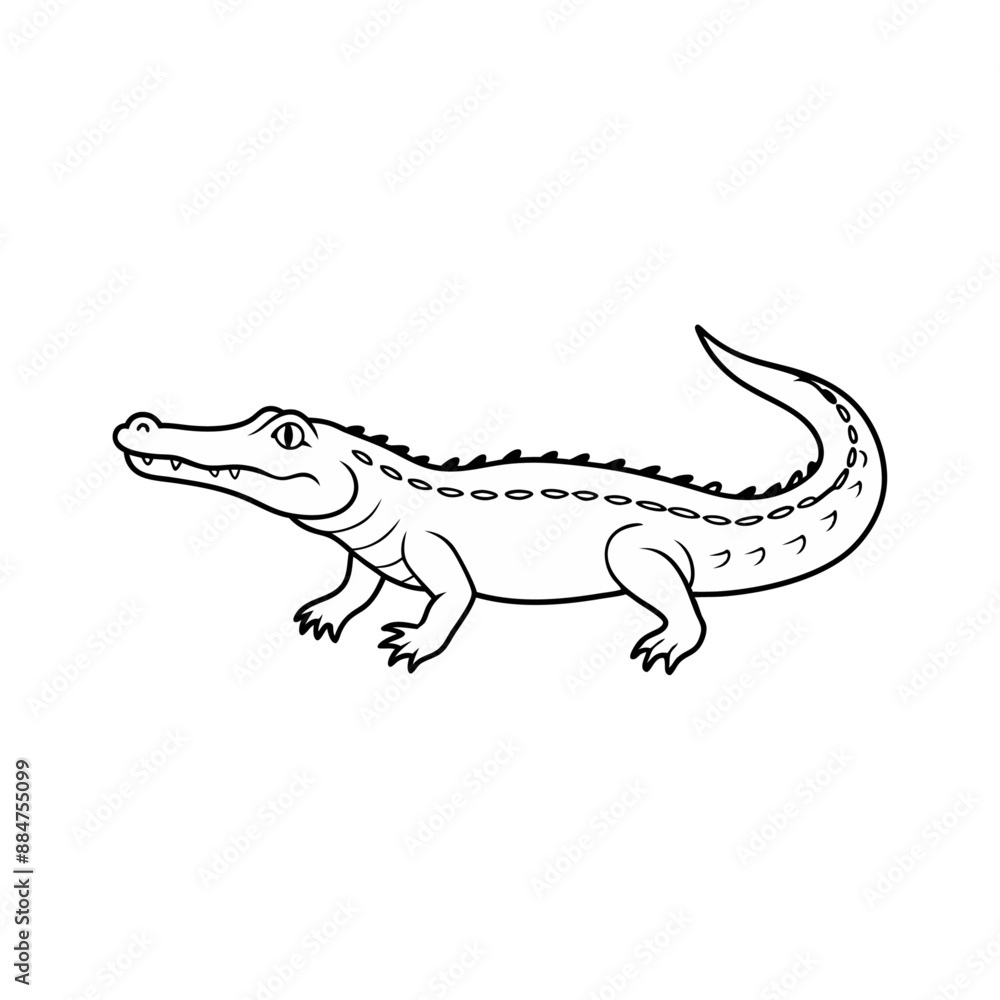 Obraz premium crocodile line art vector 