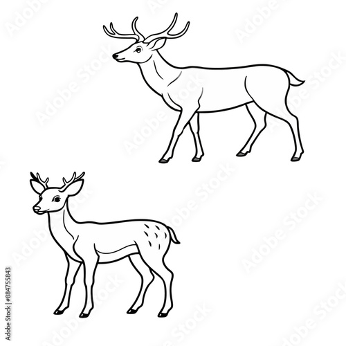 deer line vector