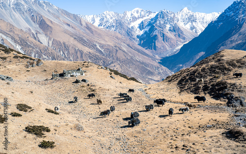 Landscape view of Mountain in Gorkha, Nepal. photo