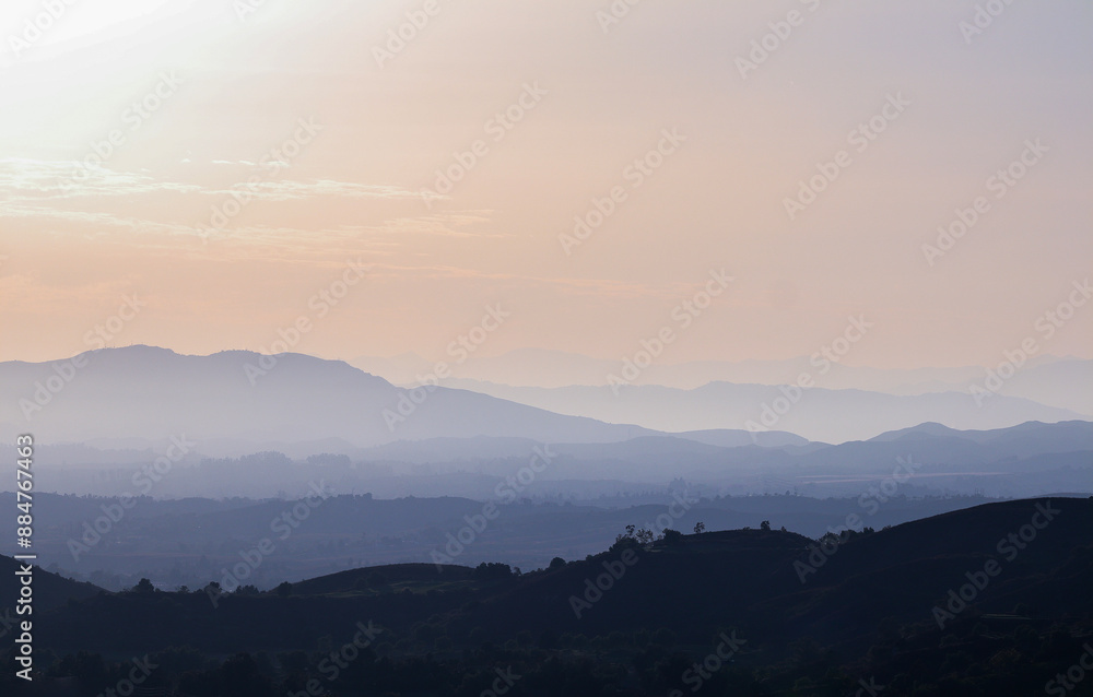 California Blues California Blues