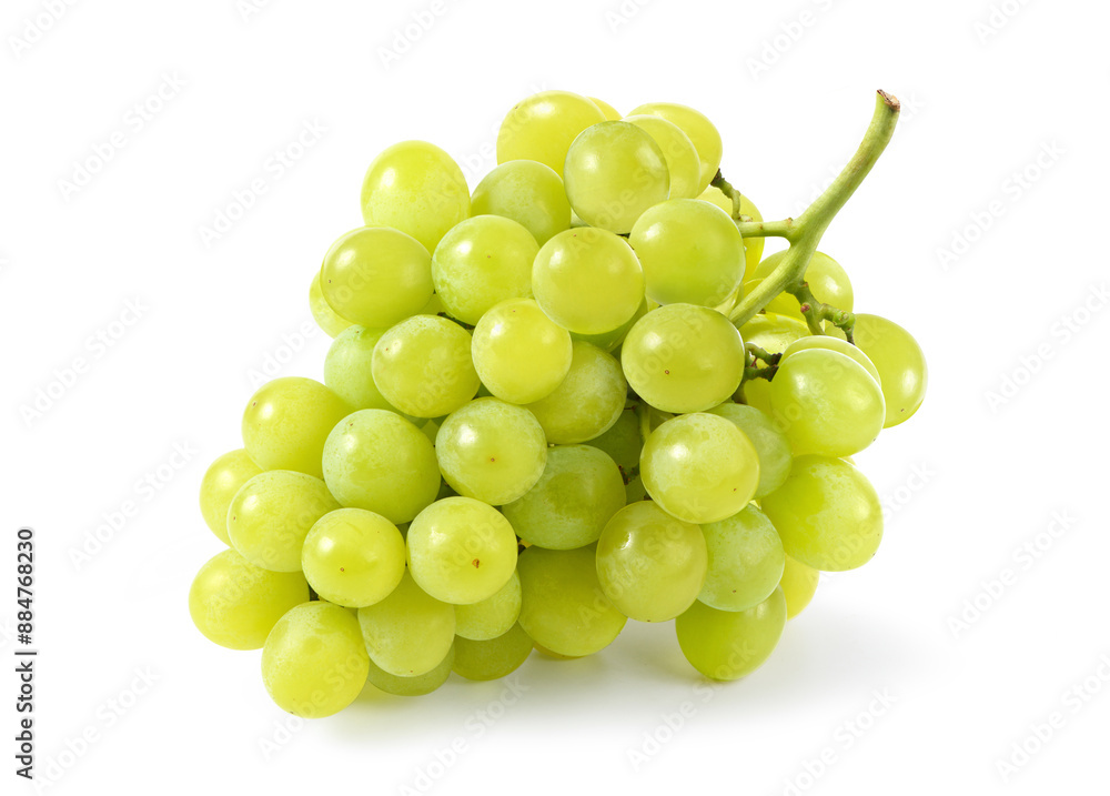 Fresh green grape cluster isolated on white background. Fresh green grape cluster isolated on white background.