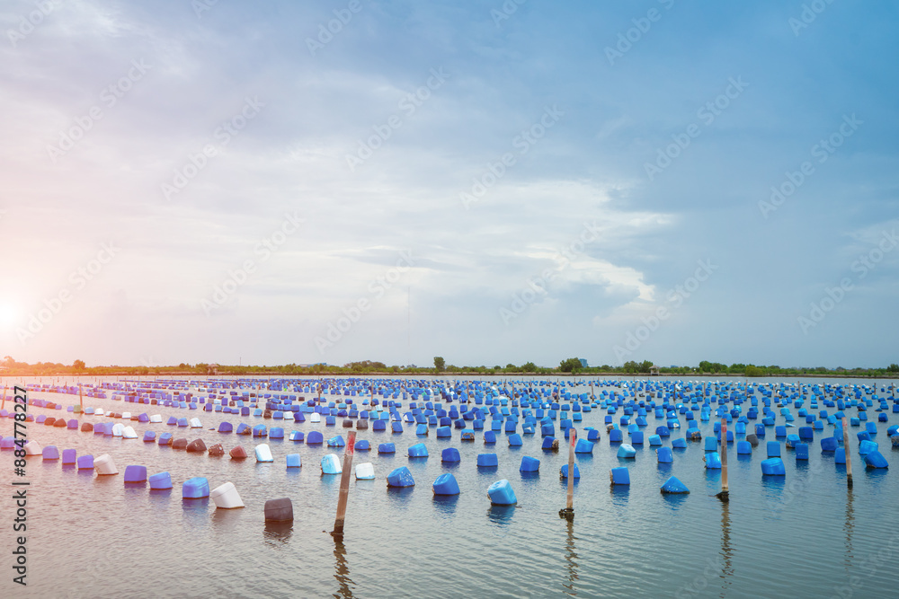 Fototapeta premium Floating buoy or Pontoons .Snail Sculpts Bubbles to make life raft on the ocean or lake. snail farm will allow you to perfectly control the environmental conditions .