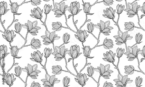 Magnolia pattern on white background. Seamless pattern of magnolia flowers. Hand drawn flowers pattern