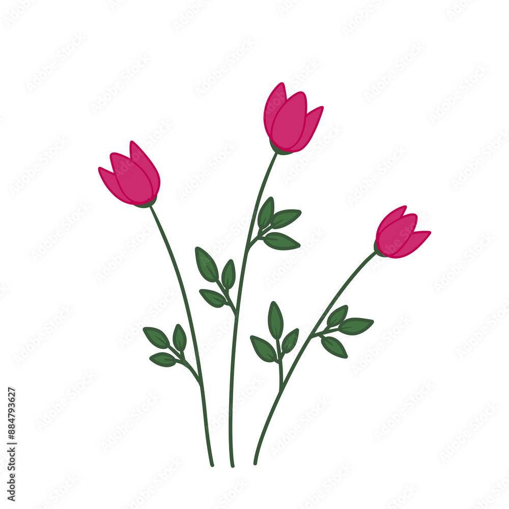 Wild flowers illustration Wild flowers illustration