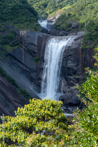 屋久島の千尋の滝