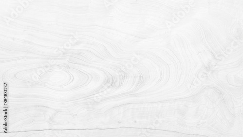 White washed old wood background, wooden abstract texture. Subtle white wood texture background of distressed oak grain. white wood texture for background, 