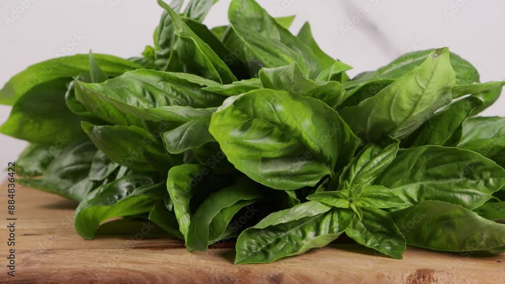  fresh basil leaves food herbs